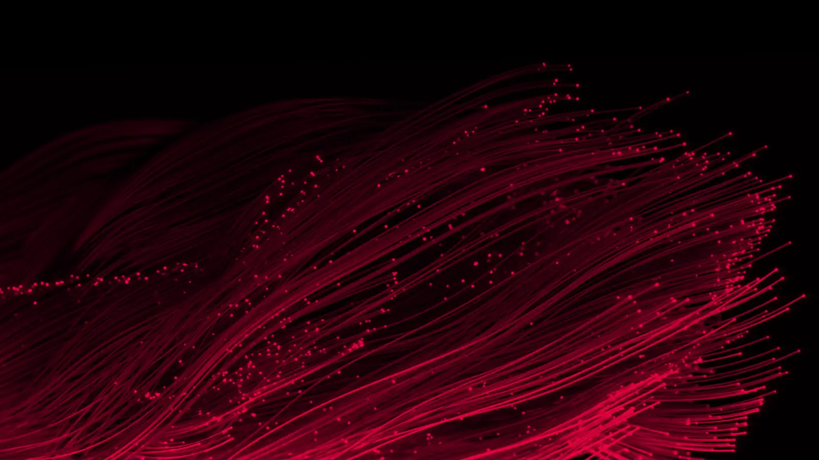 Dark red background with brighter red fiber optic light wires