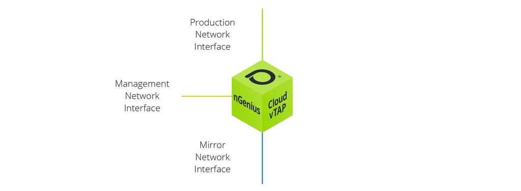 Three Network Interfaces