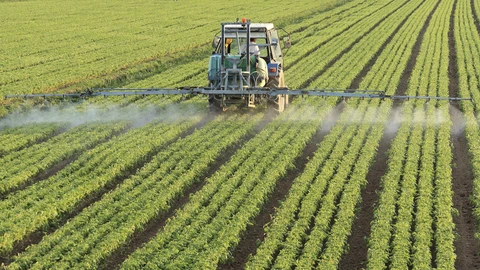 Large watering tractor over rows of green plants