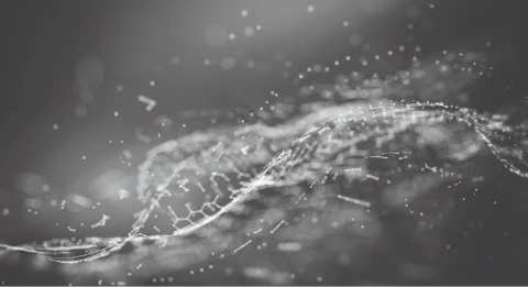 NETSCOUT Removes IT Visibility Gaps to Assure Performance of Business-Critical Services in Colocation Environments